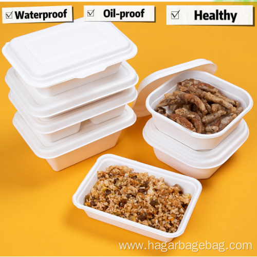 100% Compostable Sugarcane pulp Lunch Box